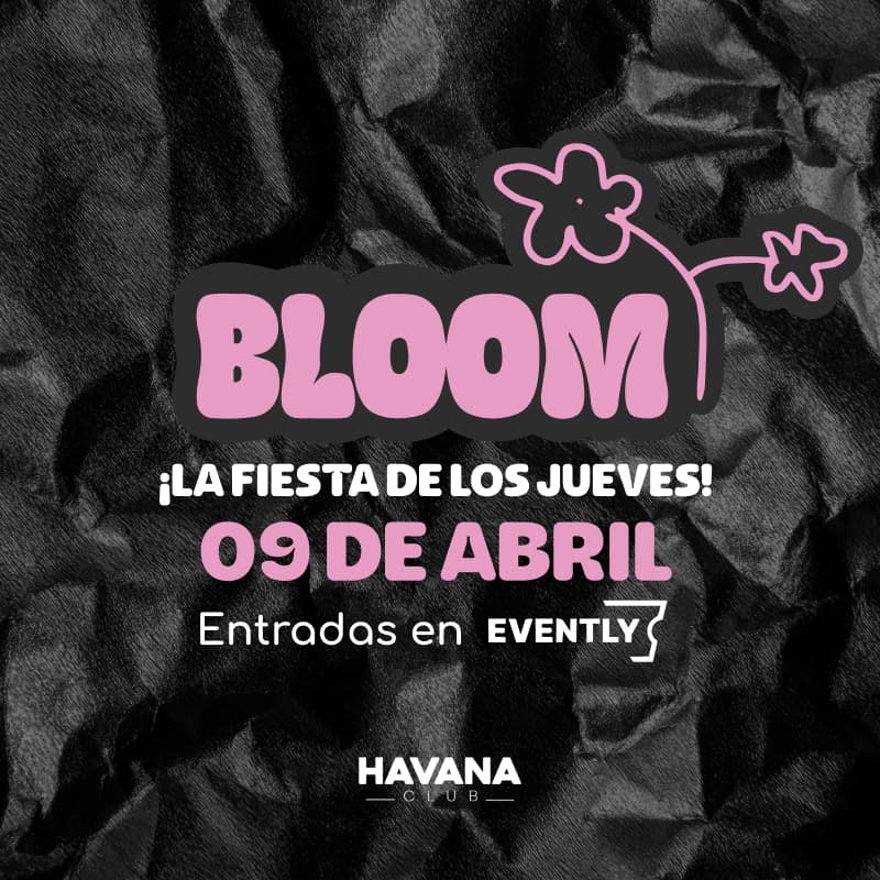 BLOOM - Inauguración image}